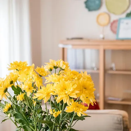 Beguest Tejo River Lisbon Almada